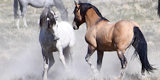 Immagine principale di Saving Our Wild Horses & Wildlife Conference 