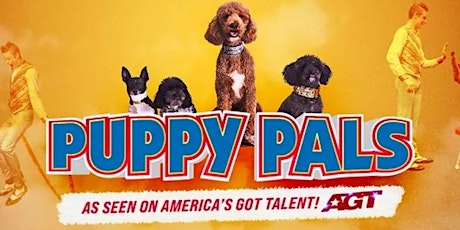 Puppy Pals Live primary image