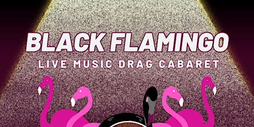 Imagem principal do evento Black Flamingo