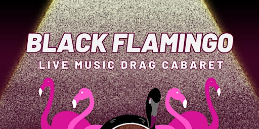 Black Flamingo primary image