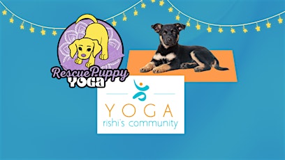 Image principale de Rescue Puppy Yoga -  Rishi’s Community Yoga