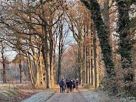 Primaire afbeelding van Ga mee met de meditatieve struintocht vanaf Hof Espelo