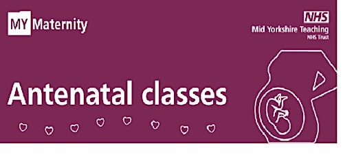 Collection image for Online antenatal classes
