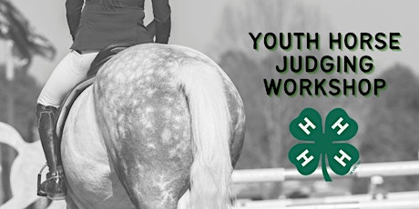 Youth Horse Judging primary image