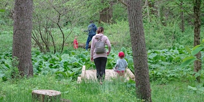 Imagem principal do evento Conservancy Explorers Club: Climbers Run Nature Center