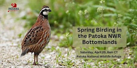 Spring Birding in the Patoka NWR Bottomlands