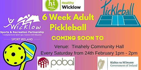 Adult Pickleball Sessions primary image