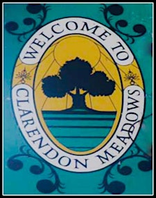 Organizer profile image