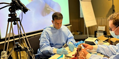 Imagen principal de Soft Tissue Management Course with Prof Puria Parvini