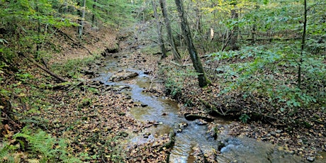 Imagem principal de Community Science: Phenology at Mill Creek Falls
