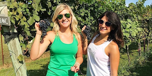 Volunteer Grape Picking and Lunch with Wine on 10-05-2019