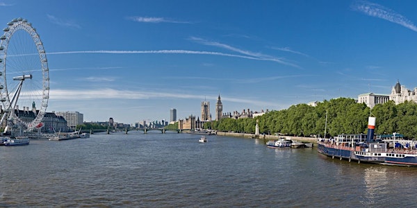 Thames River Walk: Blackfriars to Westminster AMNESTY FUNDRAISER