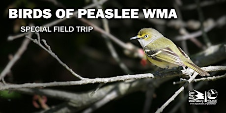 Birds of Peaslee Wildlife Management Area