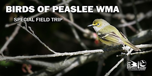 Imagem principal de Birds of Peaslee Wildlife Management Area