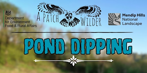 Imagem principal do evento Pond Dipping