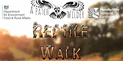 Imagen principal de Reptile Walk
