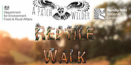 Reptile Walk