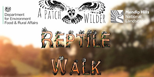 Imagem principal do evento Reptile Walk