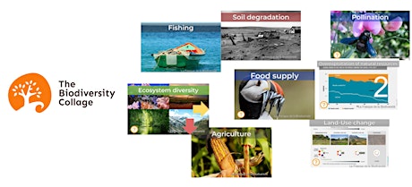 Biodiversity Decline: Understand and Act - Biodiversity Collage Online primary image