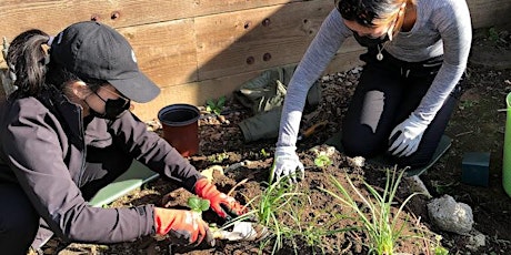 Soil Health, Composting, and Urban Agriculture Bilingual Workshop primary image