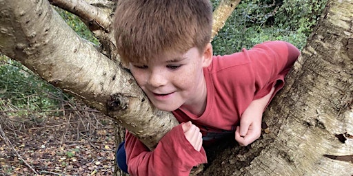 Autism Friendly Forest Adventures Age 5 - 16  Firestone Copse Ryde primary image