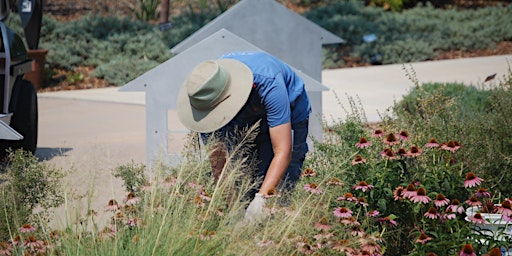 Hauptbild für Planting Bed Maintenance