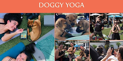 Doggy Yoga at The Eden Roc primary image