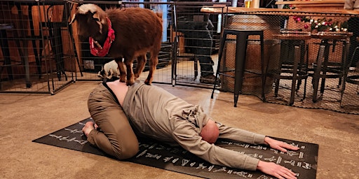 Imagem principal de Yoga with Goats