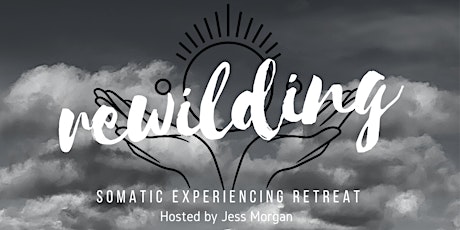 Re-Wilding Somatic Experiencing Retreat 2024