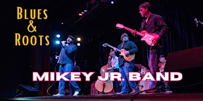 Mikey Jr. Band ~ Blues & Root Music primary image