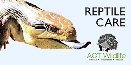 Hauptbild für Reptile Care