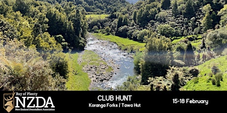 Club Hunt - Koranga Forks / Tawa Hut primary image