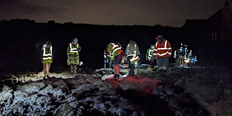 Night-Time Rockpool Safari