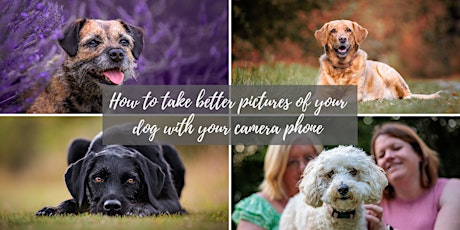 How to take better pictures of your dog with your camera phone