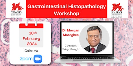 Gastrointestinal Histopathology Workshop - February 2024 primary image