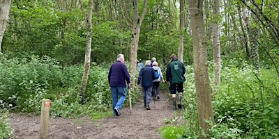 Imagem principal do evento Woodland Walk: Ramble around the Founder's Walk in Dorsington.