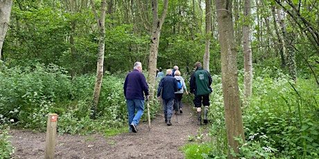 Woodland Walk: Ramble around the Founder's Walk in Dorsington.