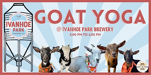 Imagem principal do evento Ivanhoe Park Brewery Goat Yoga