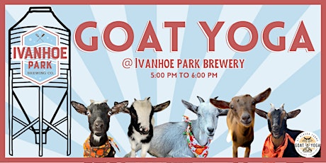 Ivanhoe Park Brewery Goat Yoga primary image