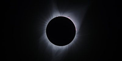 Total Eclipse Celebration primary image