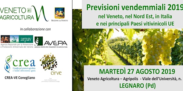 Previsioni vendemmiali 2019  nel Veneto, nel Nord Est, in Italia  e nei principali Paesi vitivinicoli UE