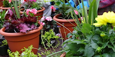 Hauptbild für Summer Planter