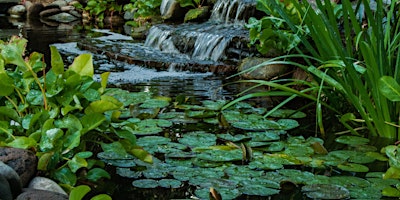 Primaire afbeelding van Water Garden Day