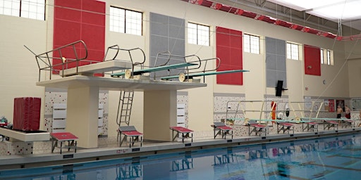 2024 Fishers Diving Invitational primary image