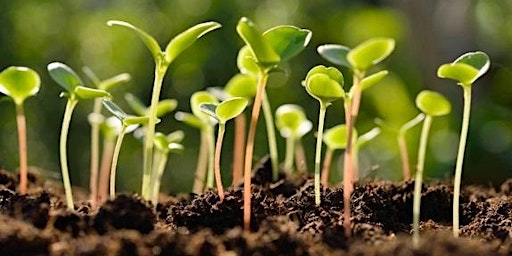 Hauptbild für Sprout Safety Alliance Sprout Grower Blended Course Part 2 (Virtual)