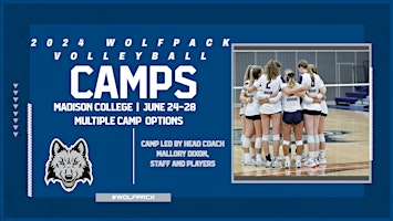 2024 WolfPack Volleyball Camps primary image