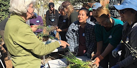 Plant Propagation with Pam Peirce primary image