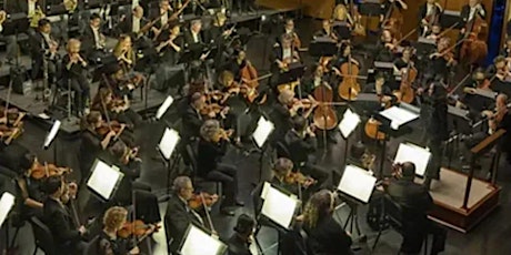 Imagen principal de The Harmonies & Healing Concert featuring The Hartford Symphony Orchestra