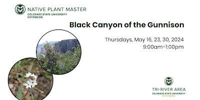 Imagem principal do evento Colorado Native Plant Master: Black Canyon of the Gunnison
