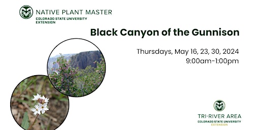 Imagem principal do evento Colorado Native Plant Master: Black Canyon of the Gunnison